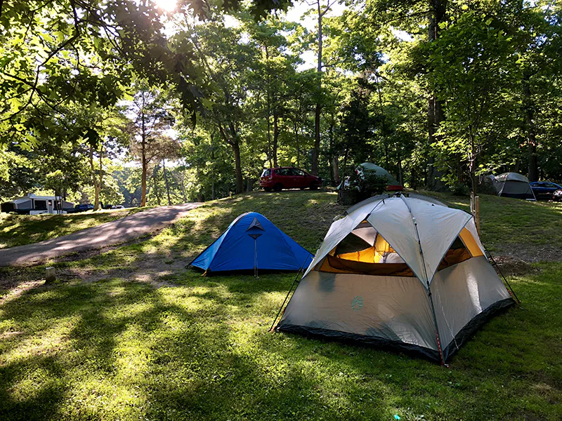 Un camping avec une toile de tente