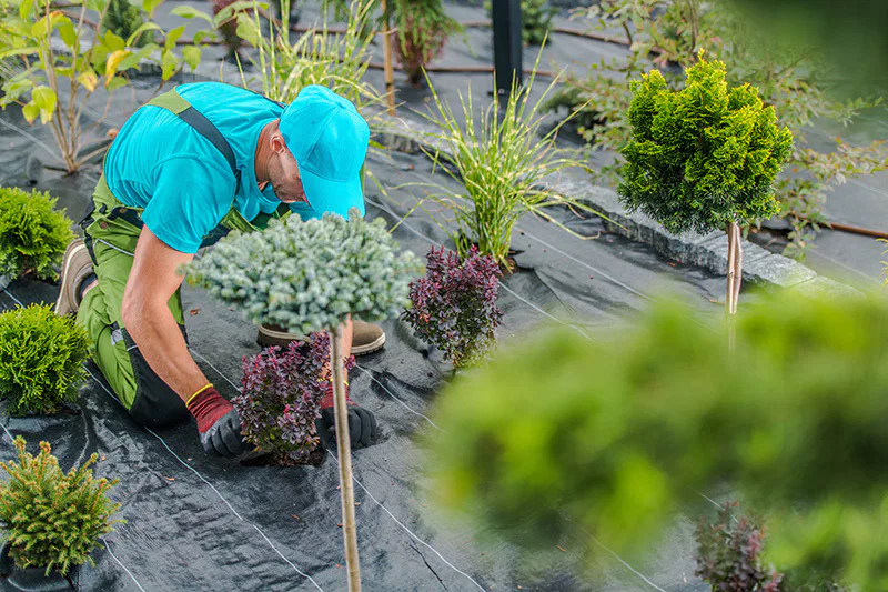 Un paysagiste sur un terrain pour un beau décor