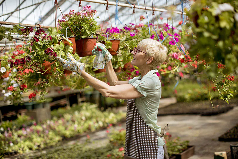 Un pépiniériste avec ces fleurs